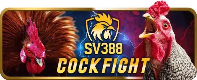 Khuyến mãi chào mừng người chơi mới tại 97win bet